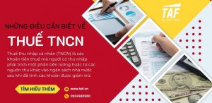 Thuế TNCN và những điều cơ bản cần biết